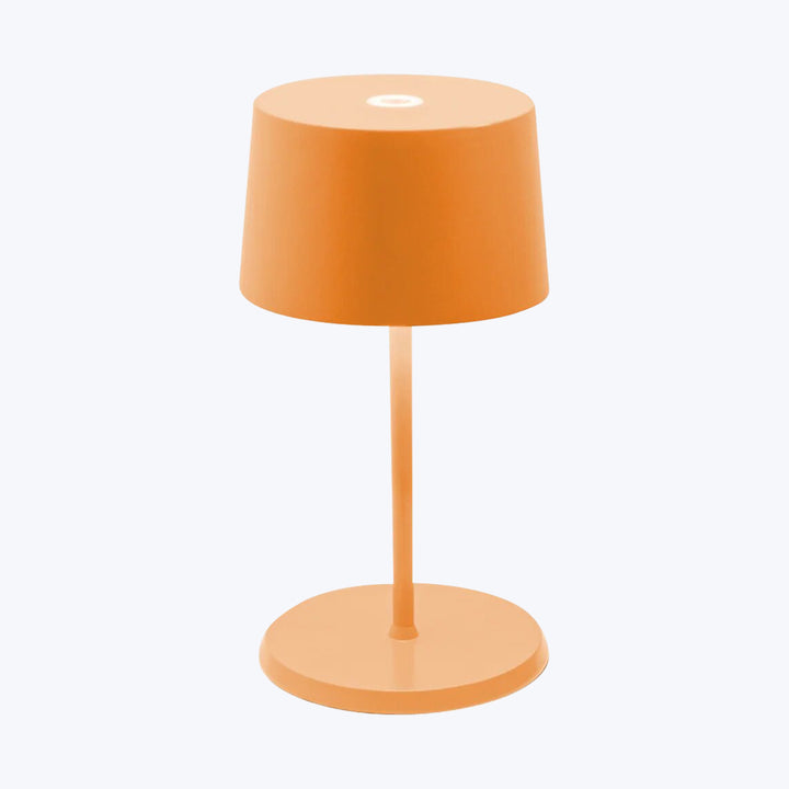 Olivia Pro Mini Light Orange