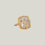 Fossilized Coral 18k One of a Kind Ring
