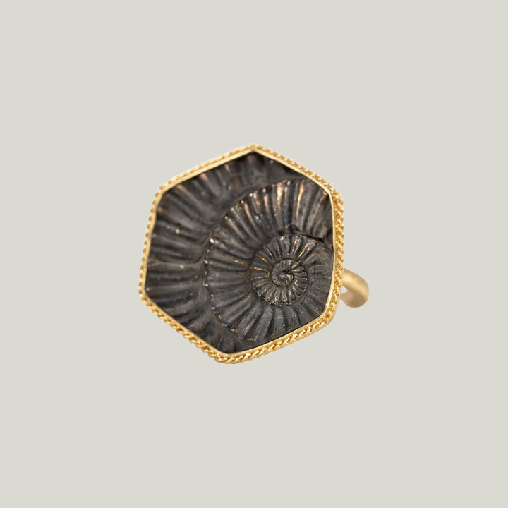 Small Pyritized Ammonite Negative 18k One of a Kind Ring (2)