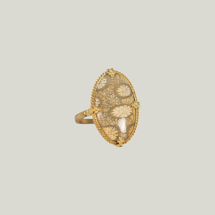 Medium Fossilized Coral 18k One of a Kind Ring