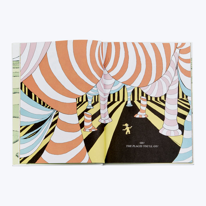 Oh The Places You'll Go! Leather Bound Book