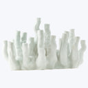 Coral Reef Vase in White