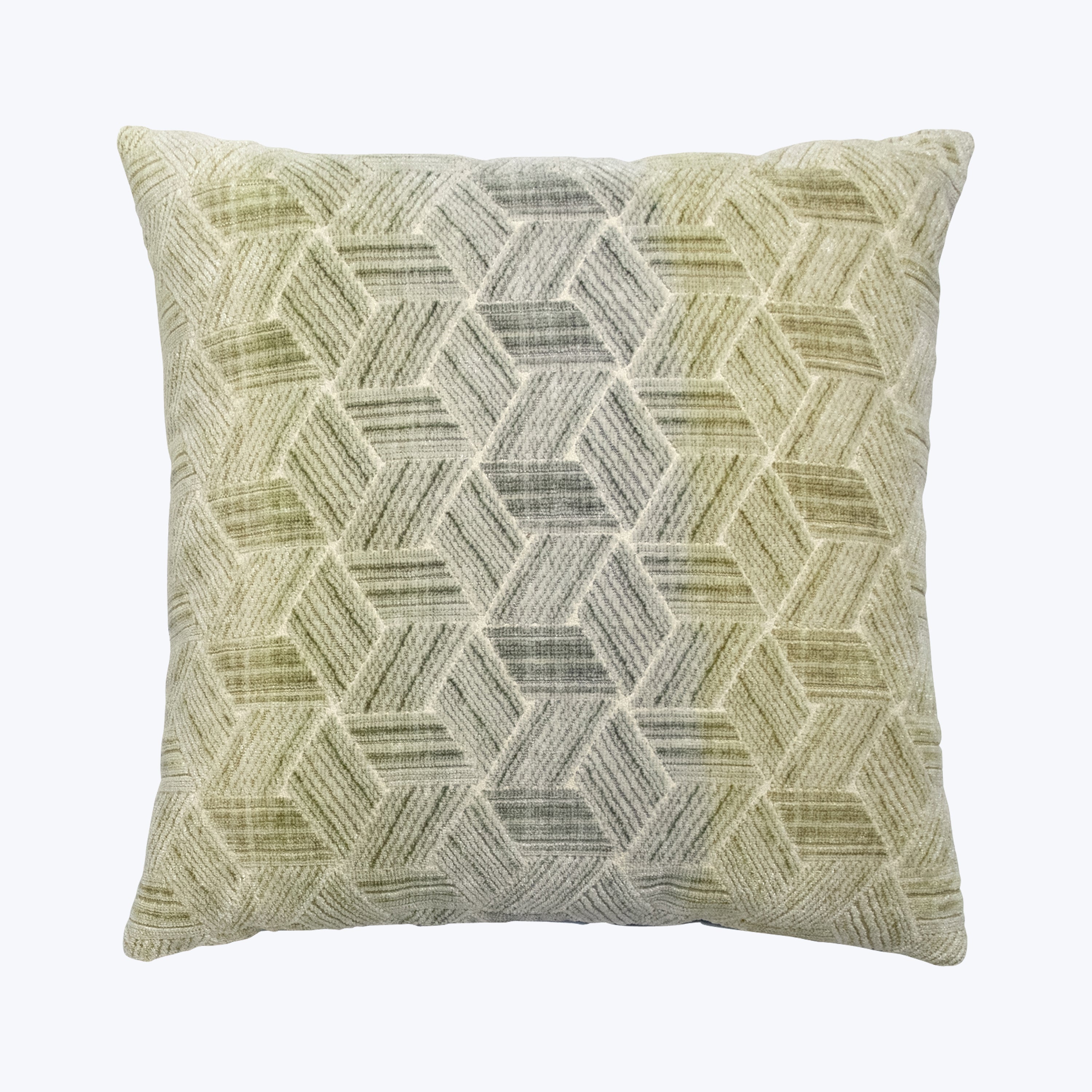 Entwined Woven Jacquard Pillow Cactus 22" x 22"