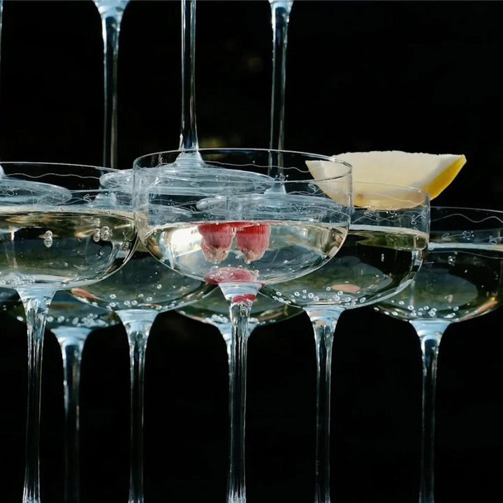 Midnight Flowers Champagne Coupe, Anemone Vaniglia