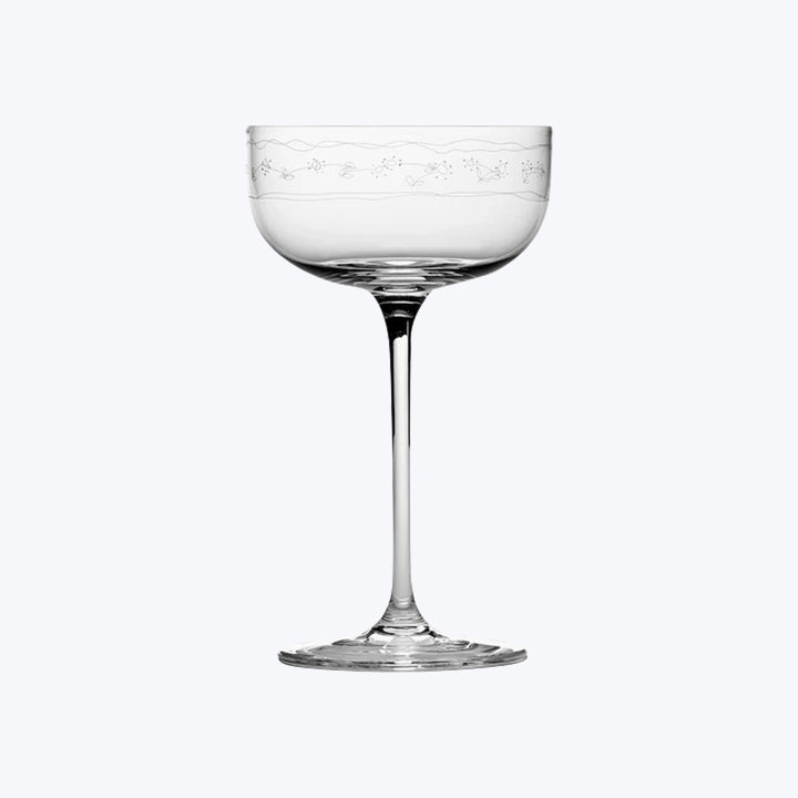 Midnight Flowers Champange Coupe, Anemone Vaniglia