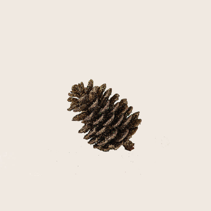 Image for Assorted Pinecones