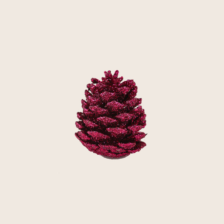 Image for Assorted Pinecones