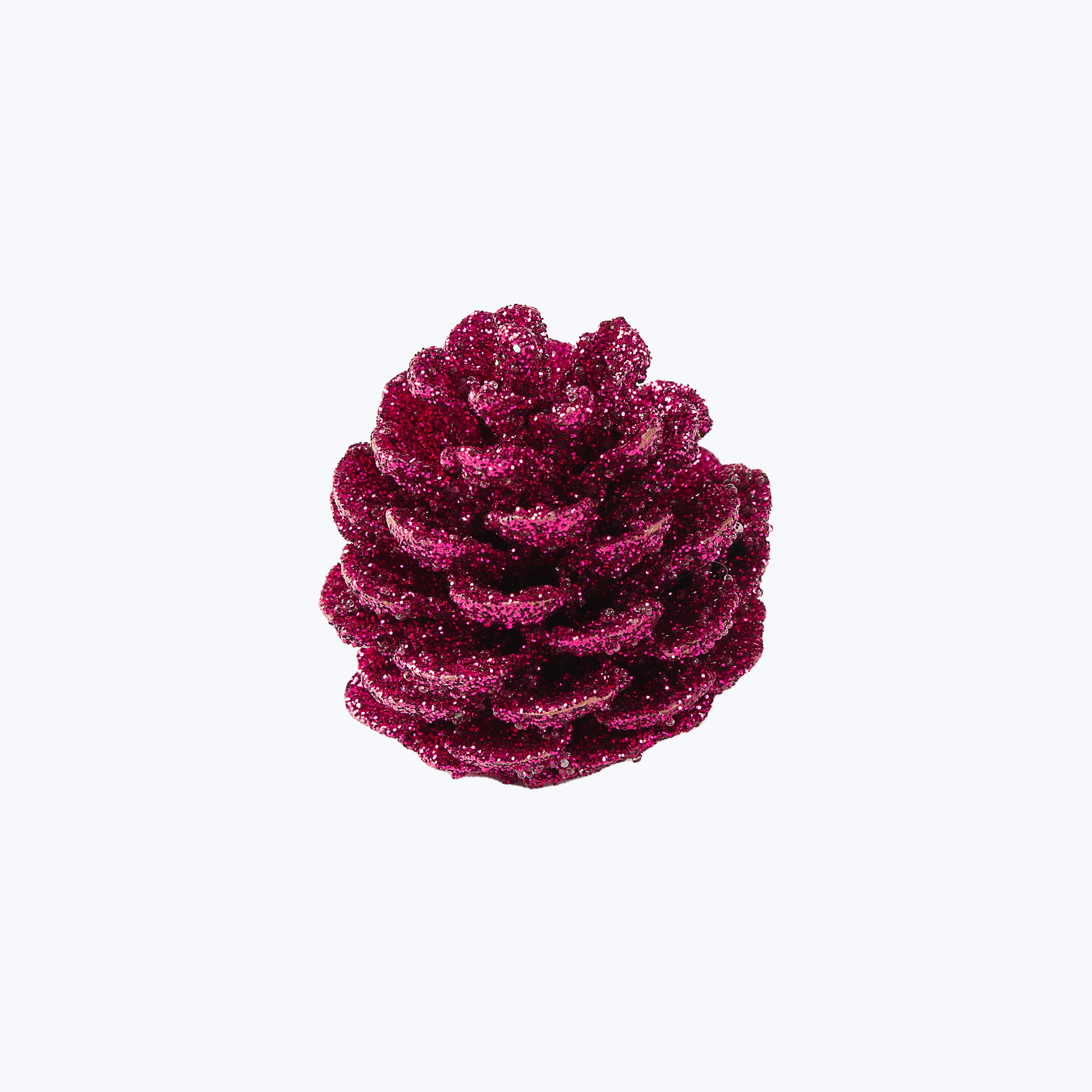 Assorted Pinecones