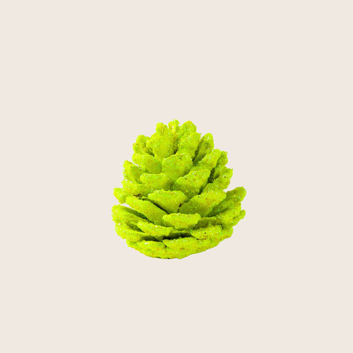 Assorted Pinecones