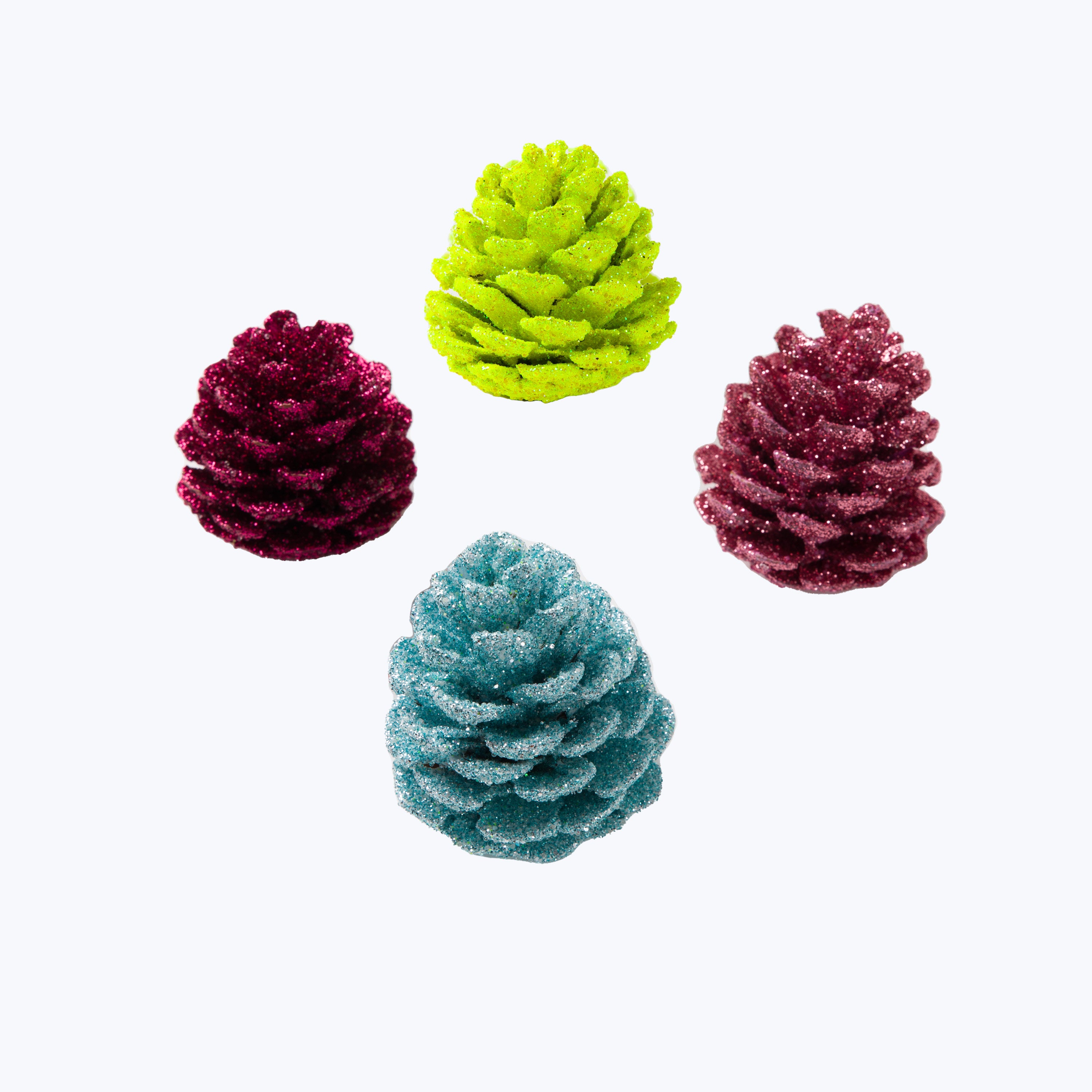 Assorted Pinecones