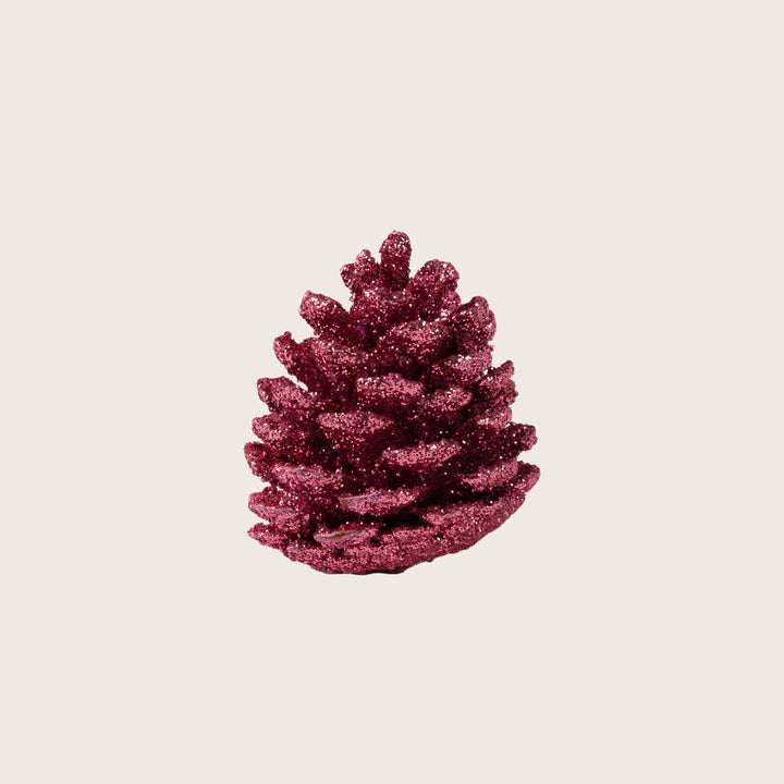 Assorted Pinecones