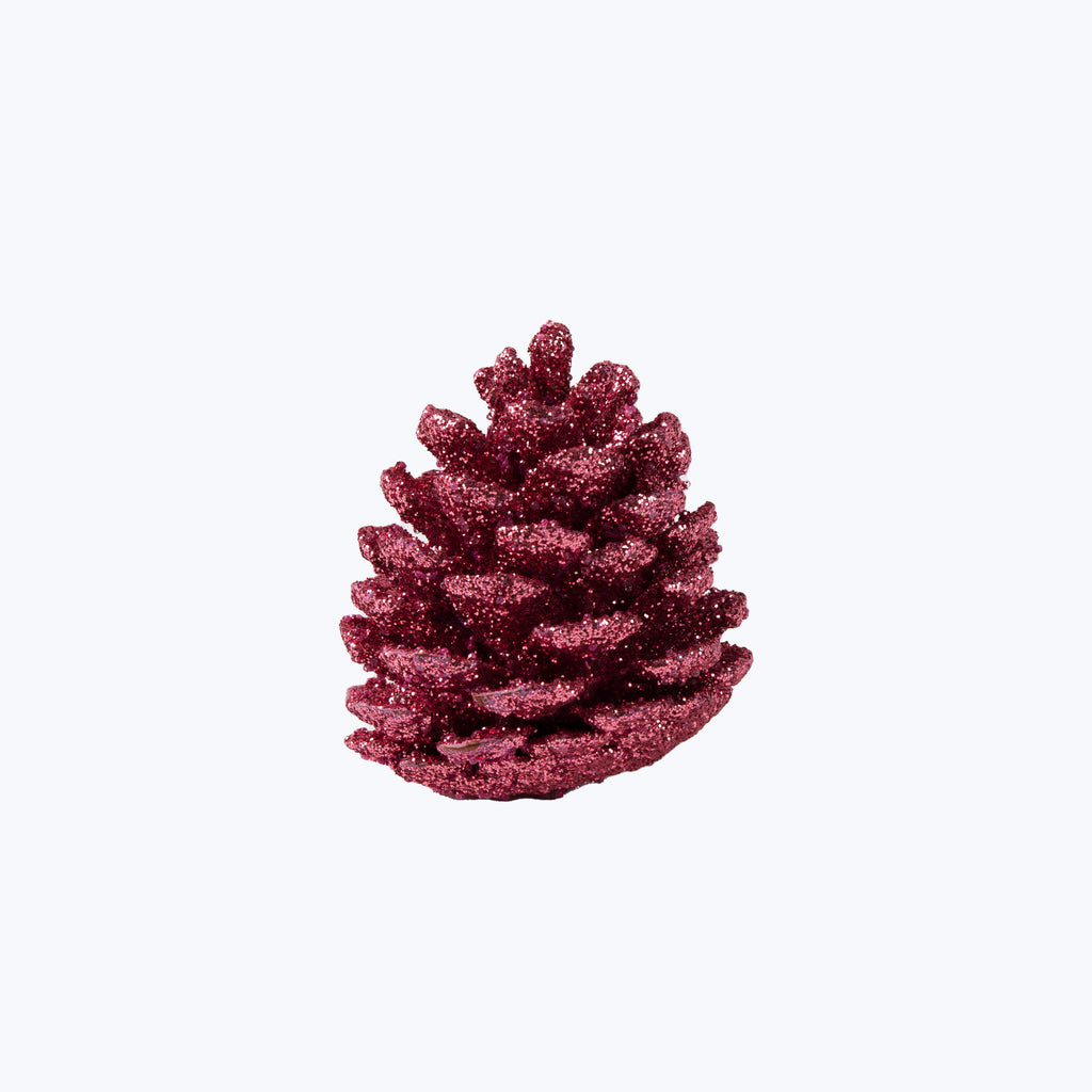 Assorted Pinecones