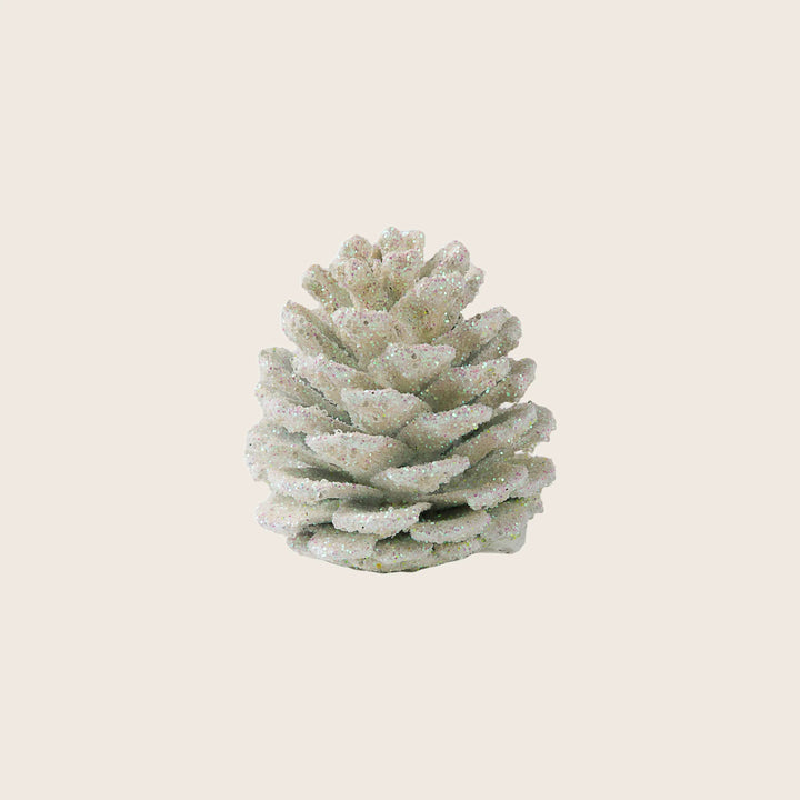 Assorted Pinecones