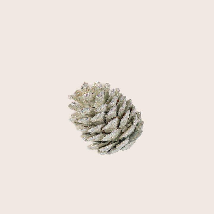 Image for Assorted Pinecones