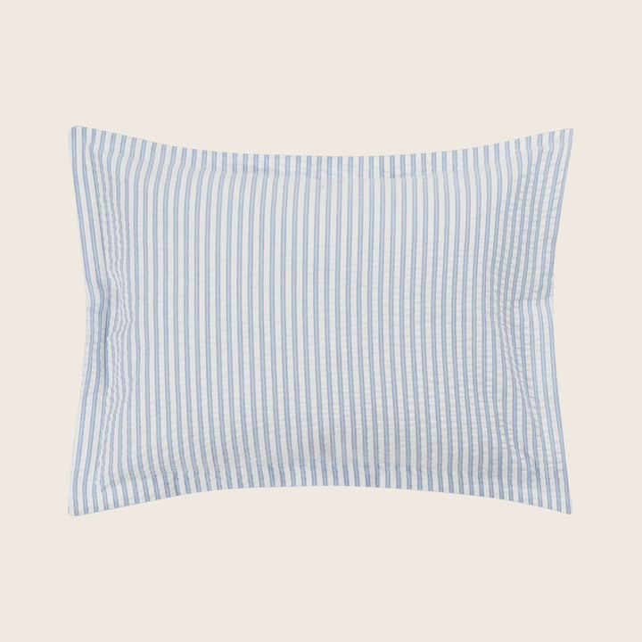 Matteo Cotton Sham Azure / Boudoir