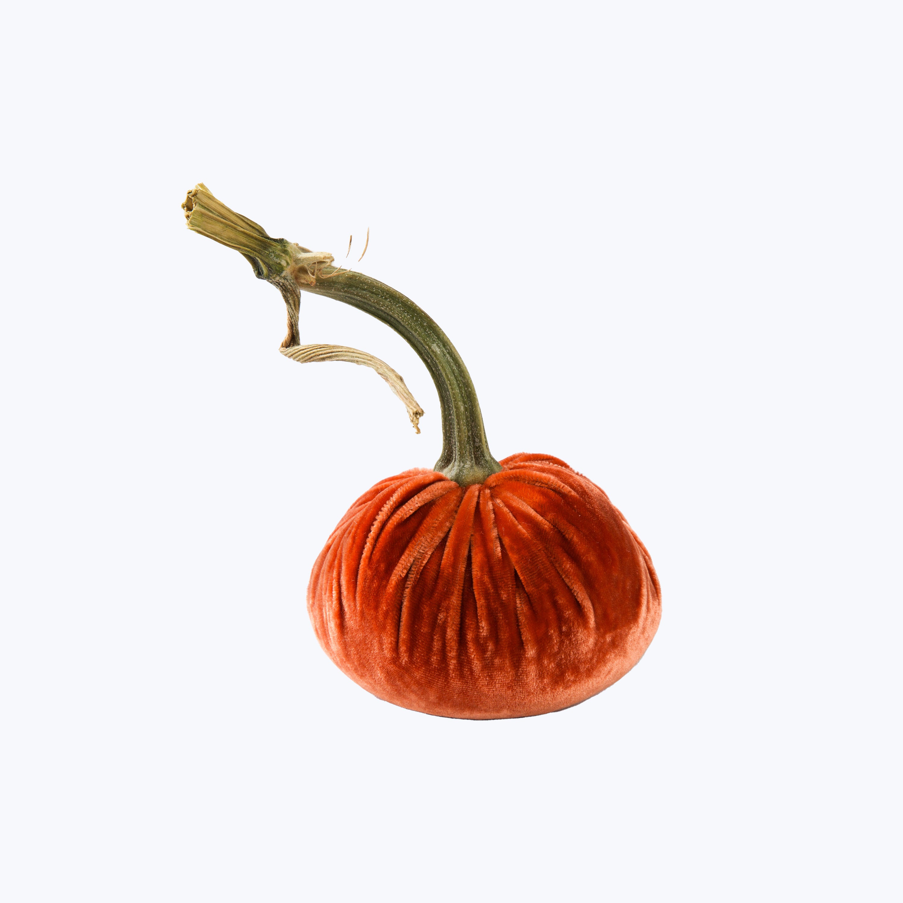 Silk Velvet Pumpkin