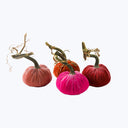 Silk Velvet Pumpkin