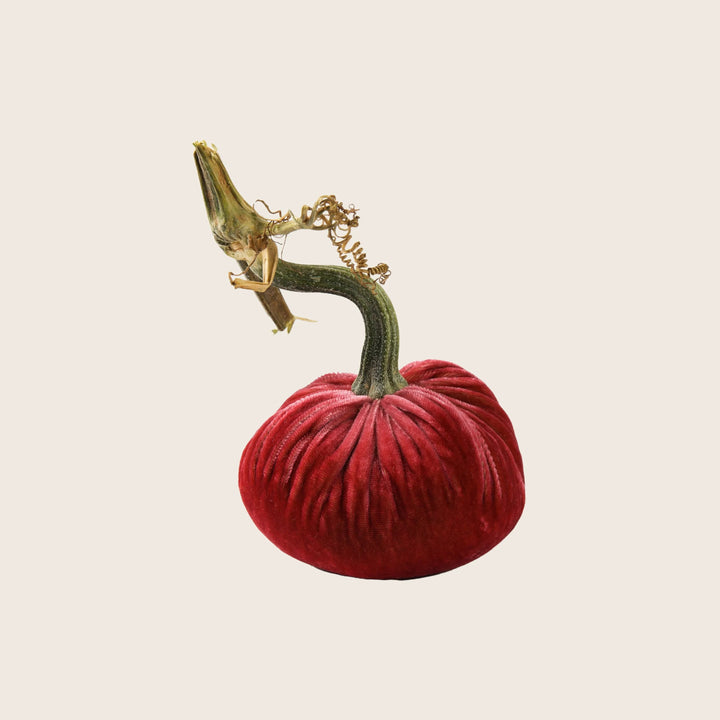 Silk Velvet Pumpkin