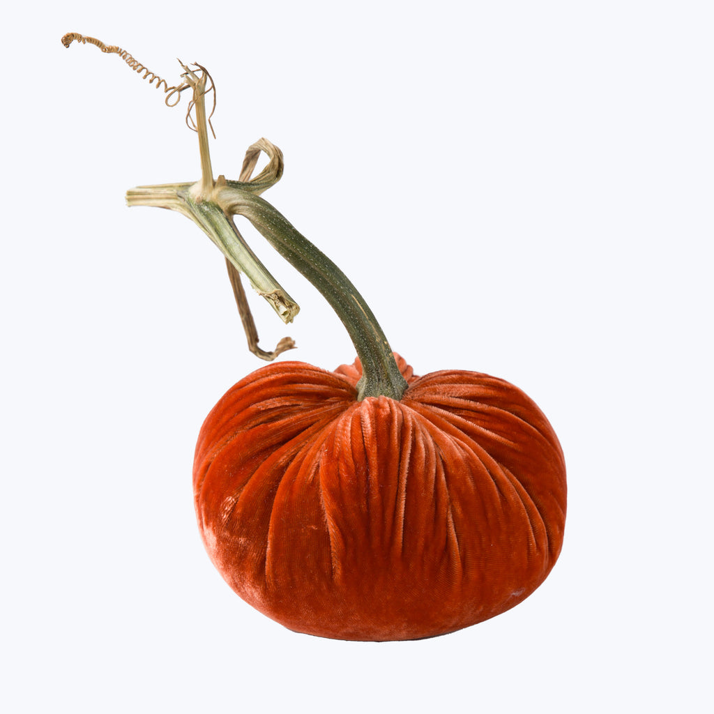 Silk Velvet Pumpkin