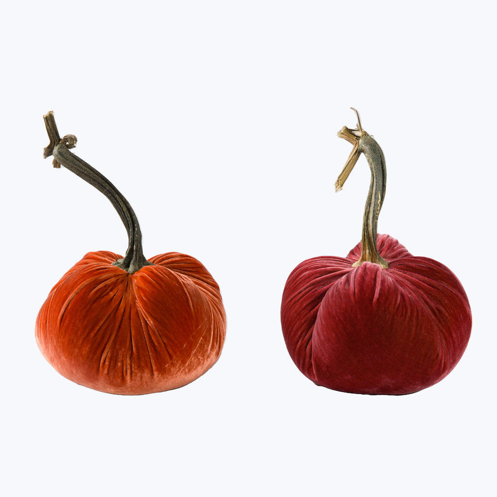 Silk Velvet Pumpkin