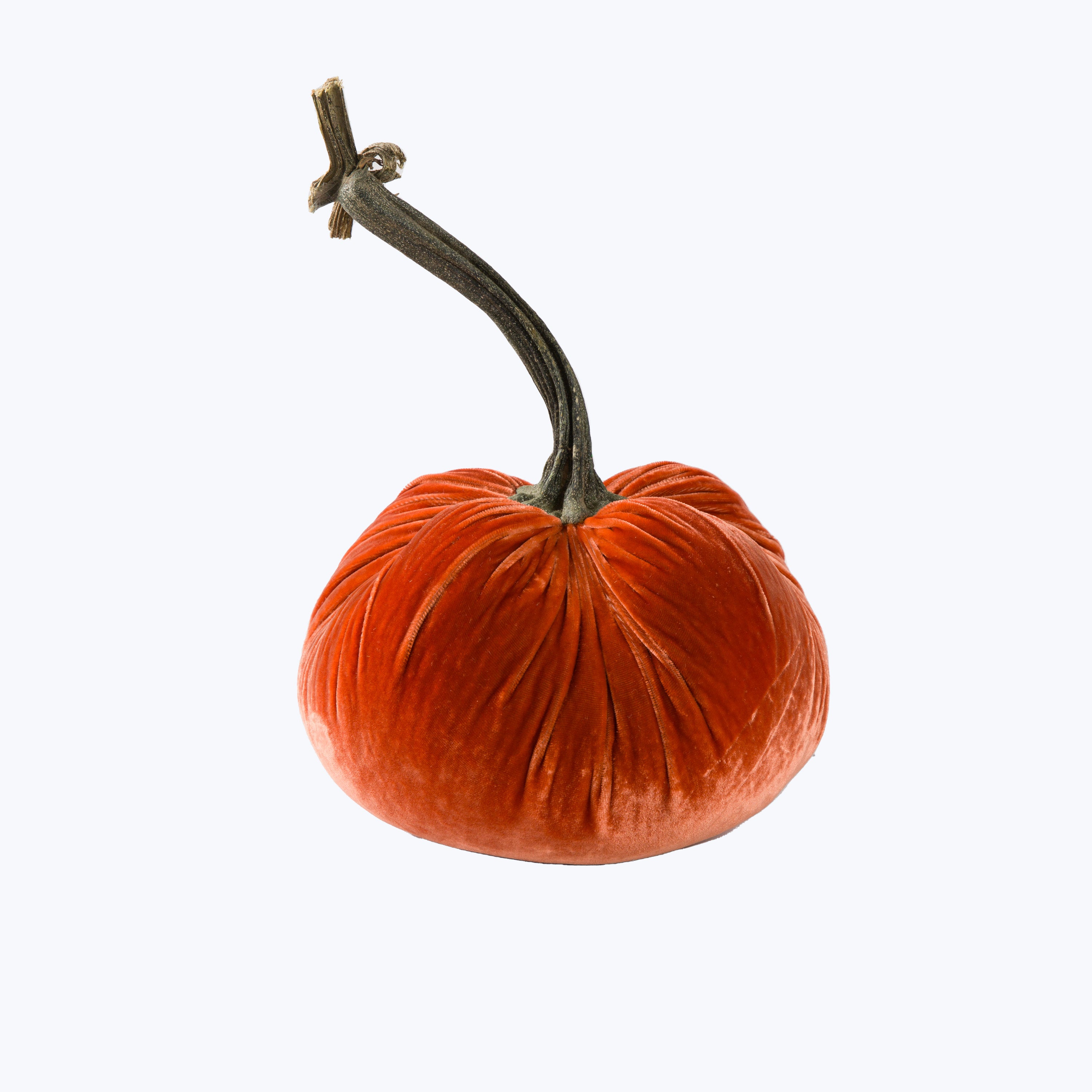 Silk Velvet Pumpkin