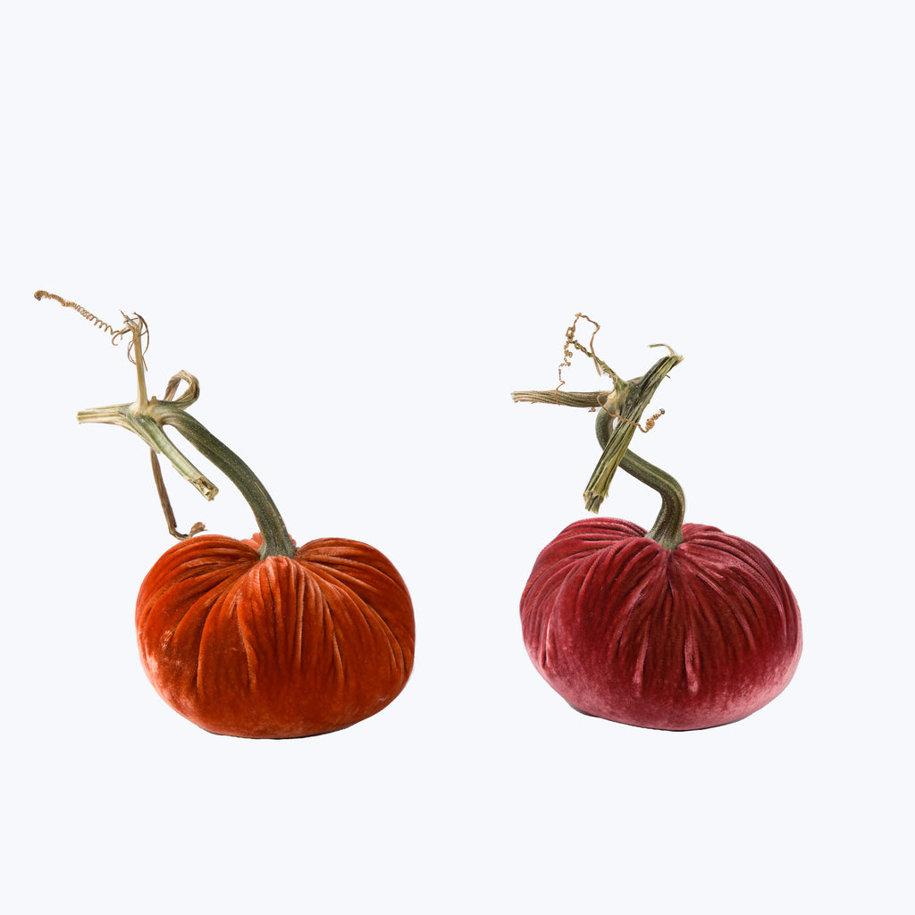 Silk Velvet Pumpkin