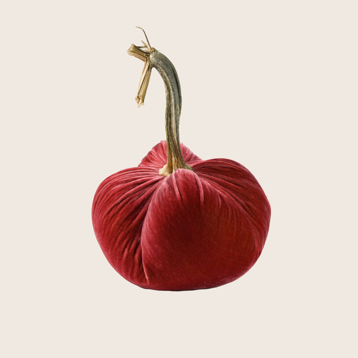 Silk Velvet Pumpkin