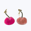 Silk Velvet Pumpkin