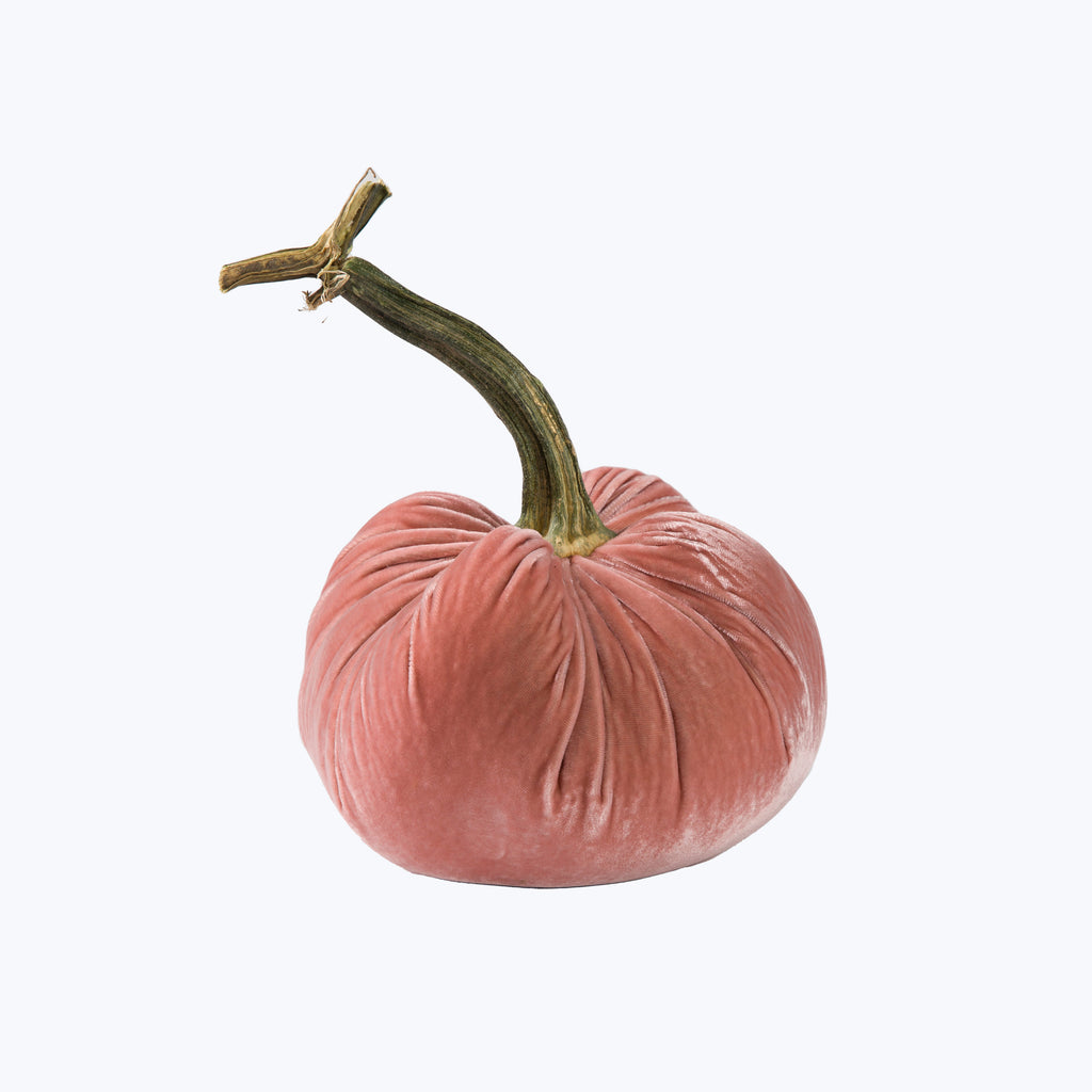 Silk Velvet Pumpkin