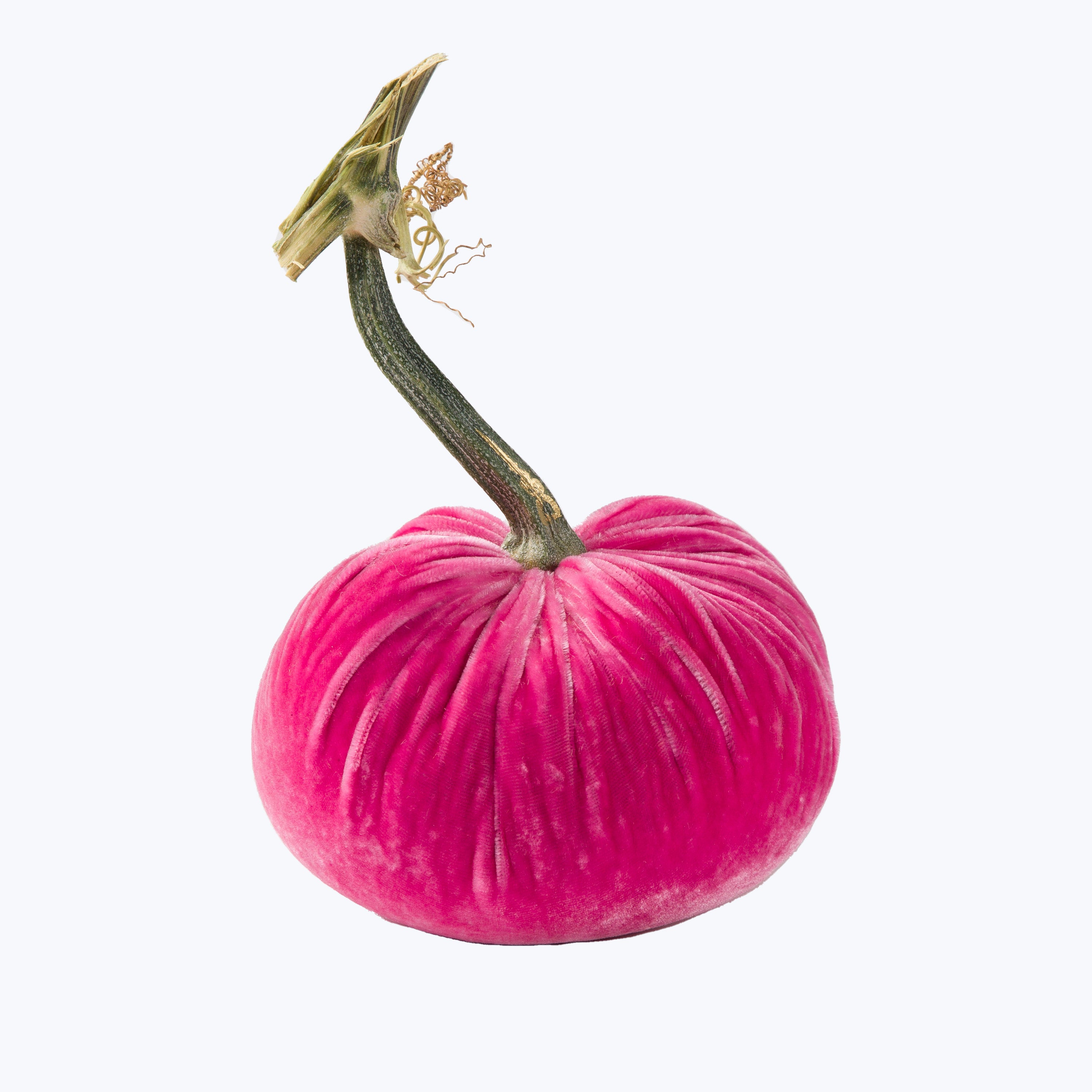 Silk Velvet Pumpkin