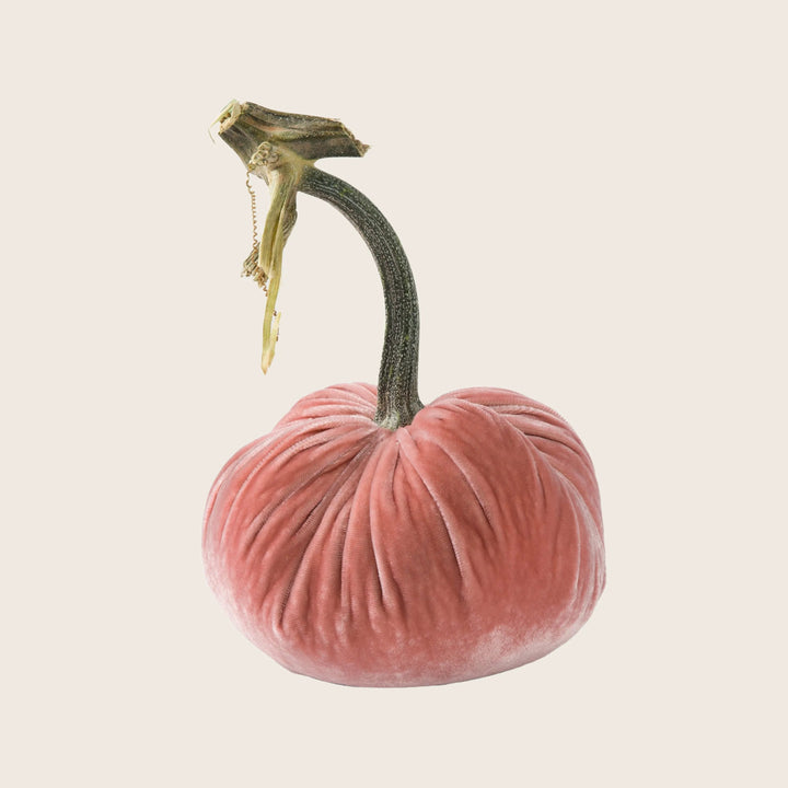 Silk Velvet Pumpkin
