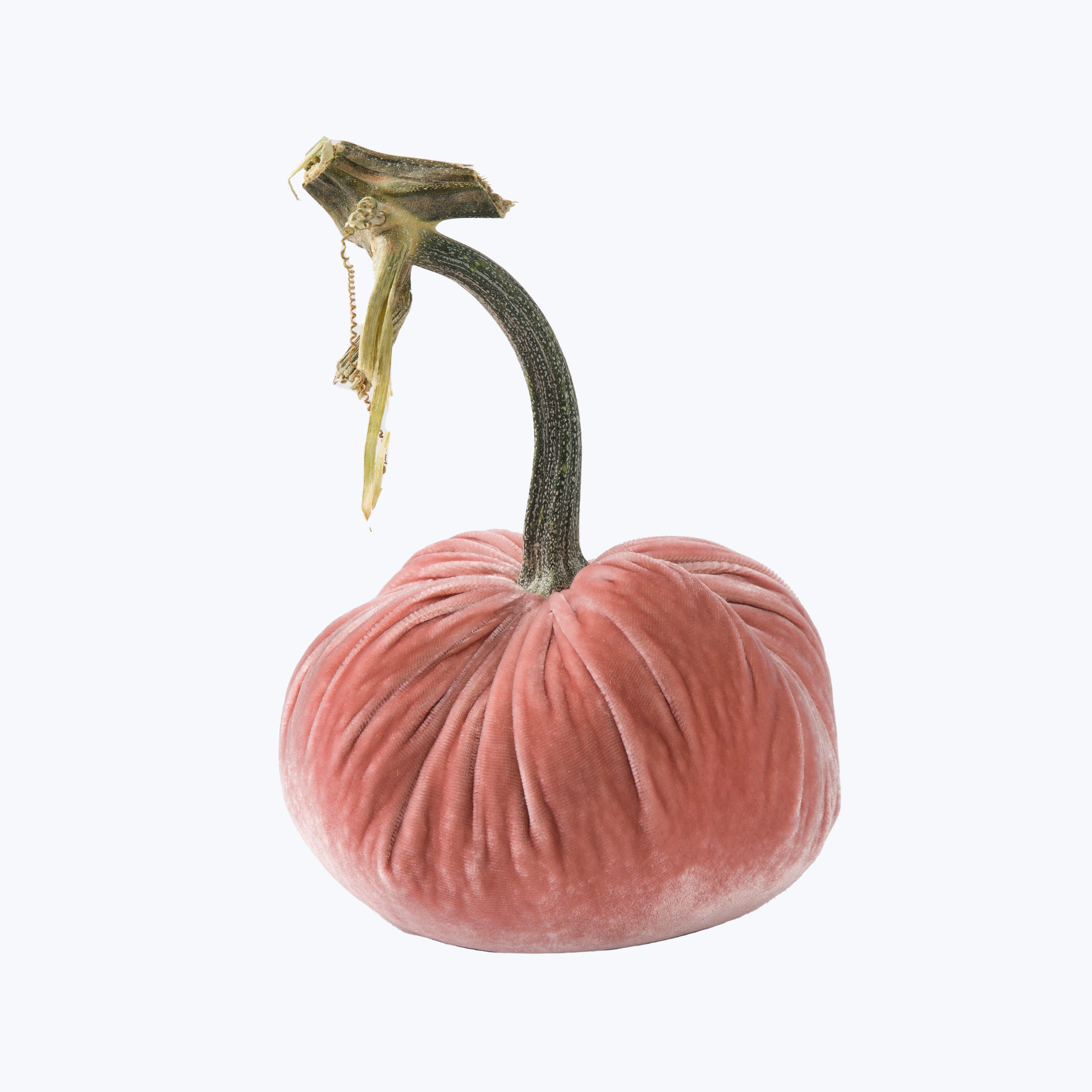 Silk Velvet Pumpkin