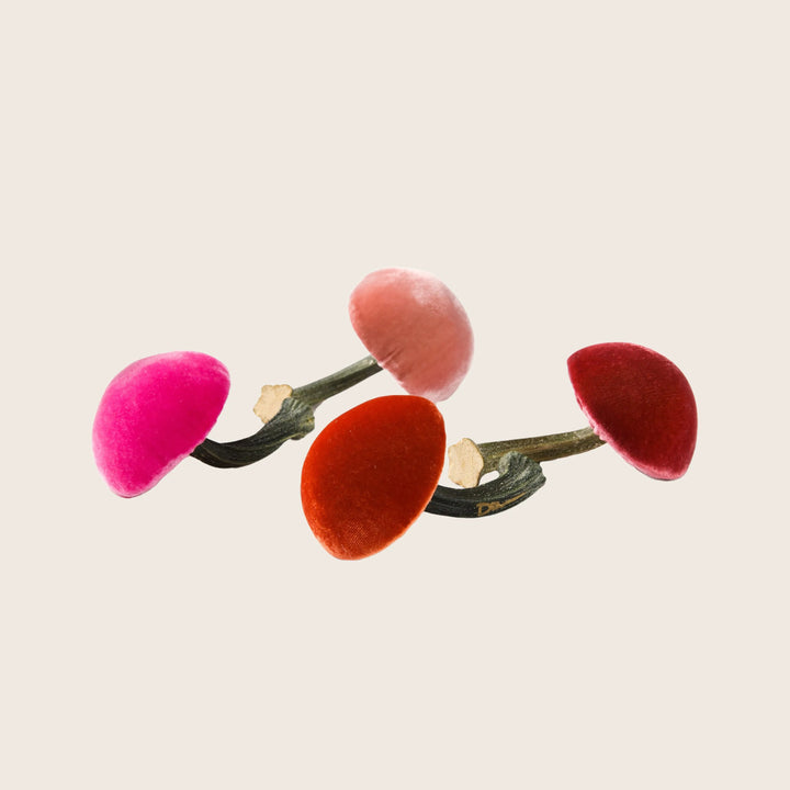 Small Velvet Mushroom