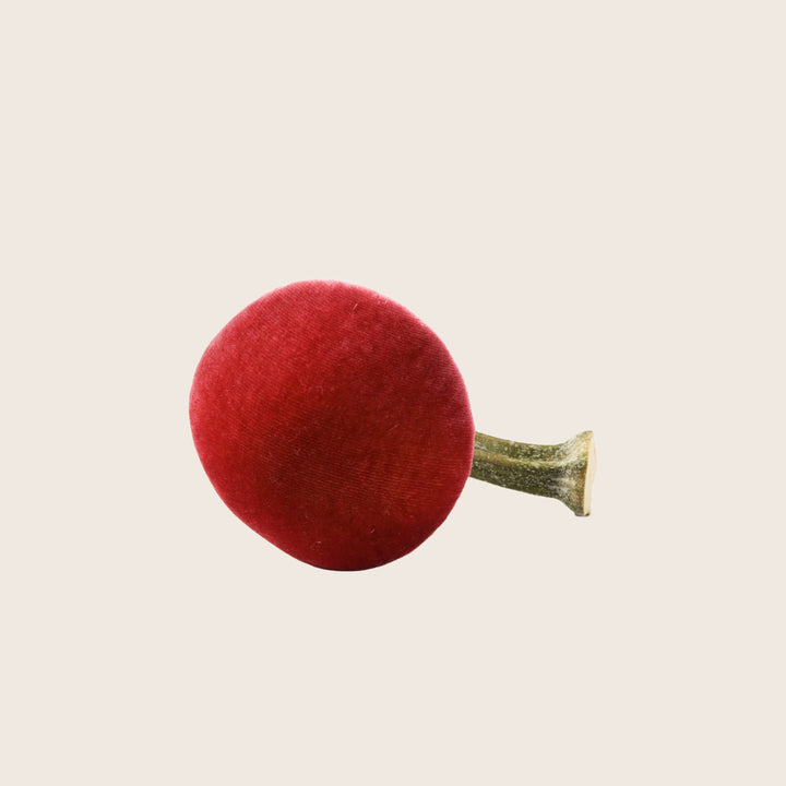 Small Velvet Mushroom