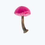 Small Velvet Mushroom