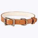 Small Dog Leather Collar Saddle