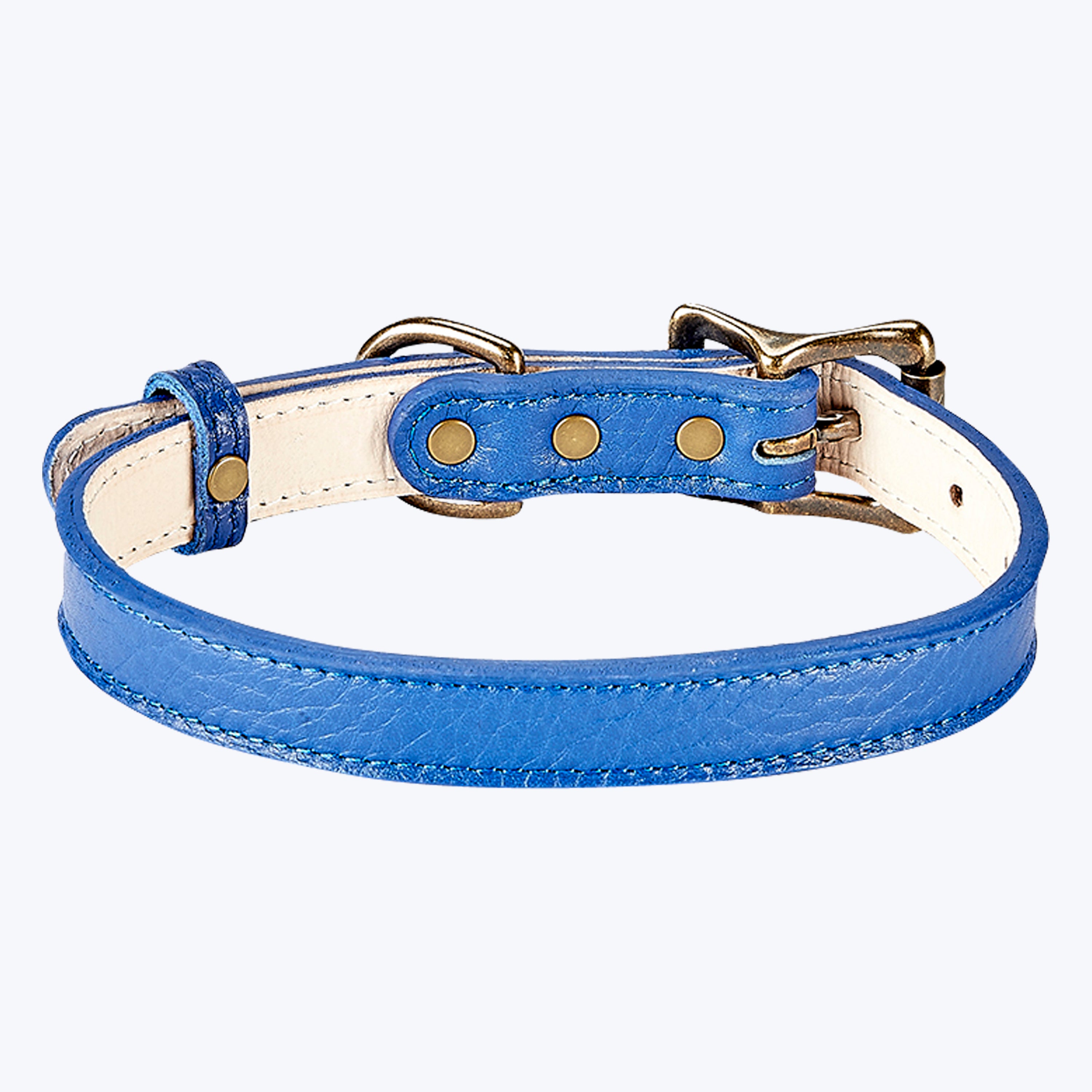 Small Dog Leather Collar True Blue