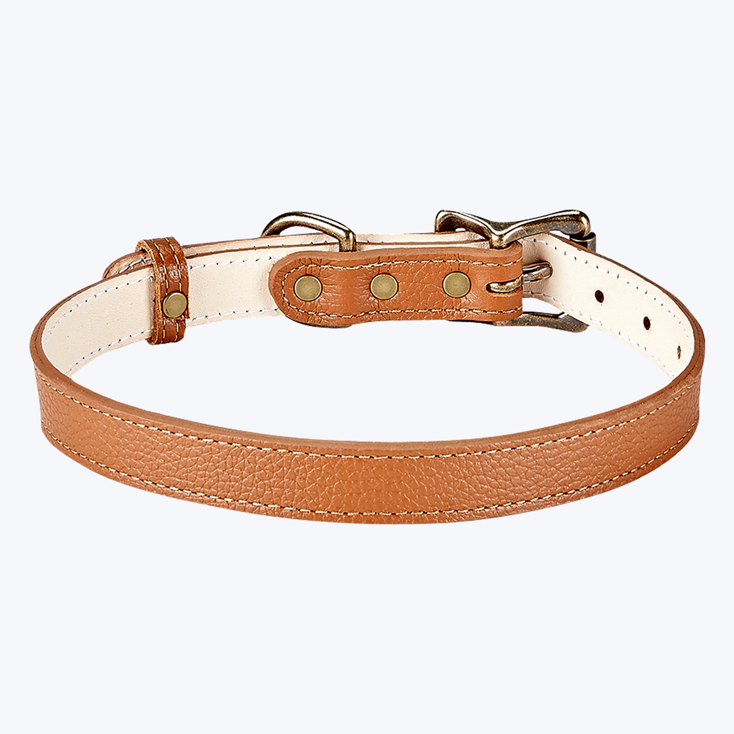 Medium Dog Leather Collar Saddle