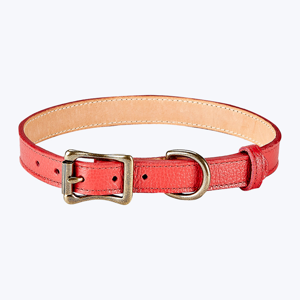 Medium Dog Leather Collar Red