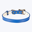 Medium Dog Leather Collar True Blue