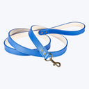 4" Leather Dog Leash True Blue