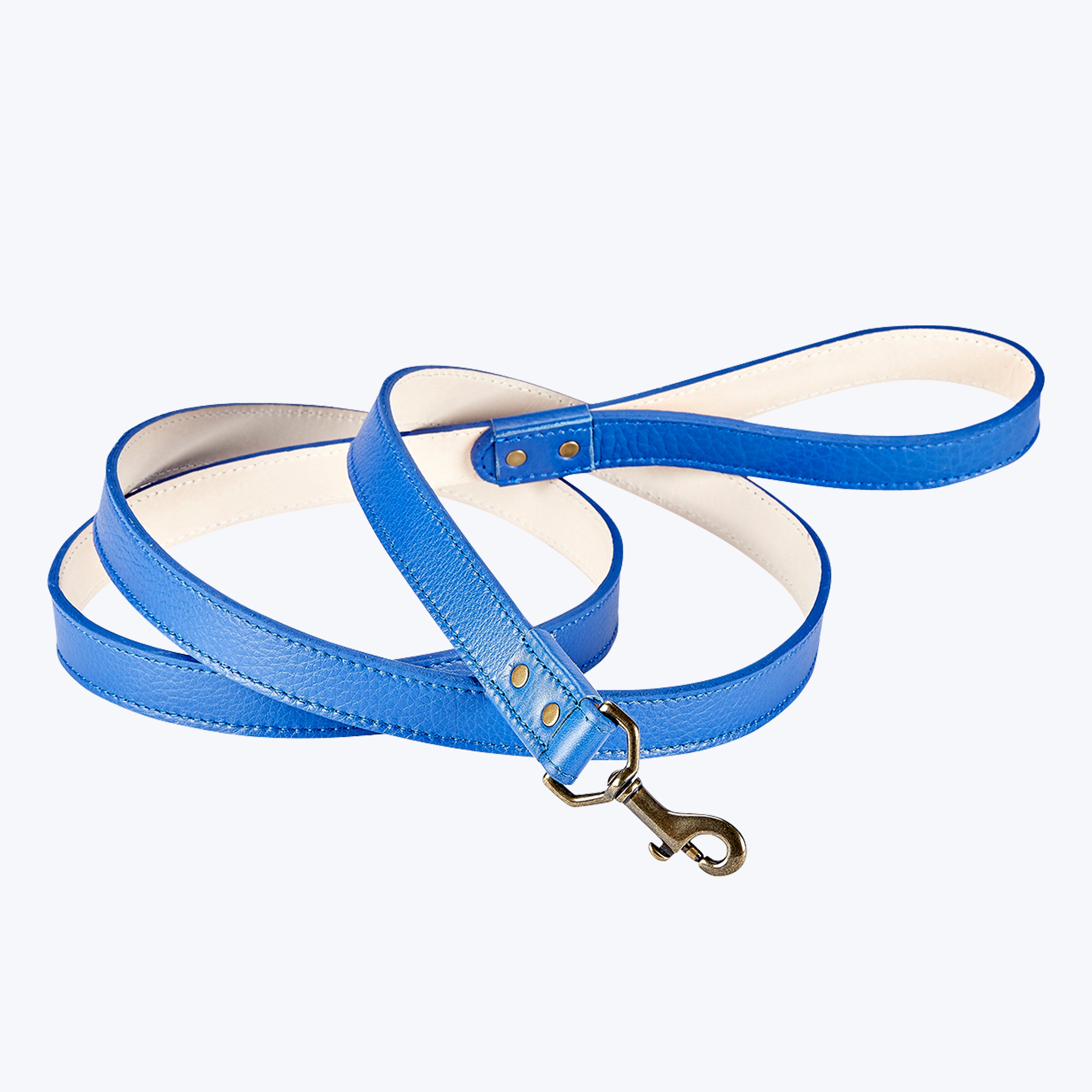 6" Leather Dog Leash True Blue