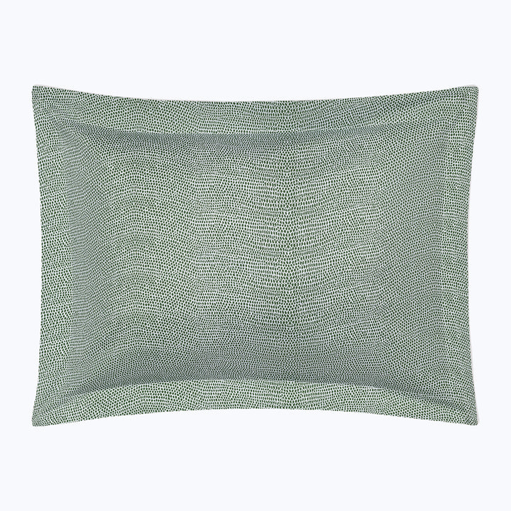 Jasper Cotton Sateen Sham Green / Boudoir