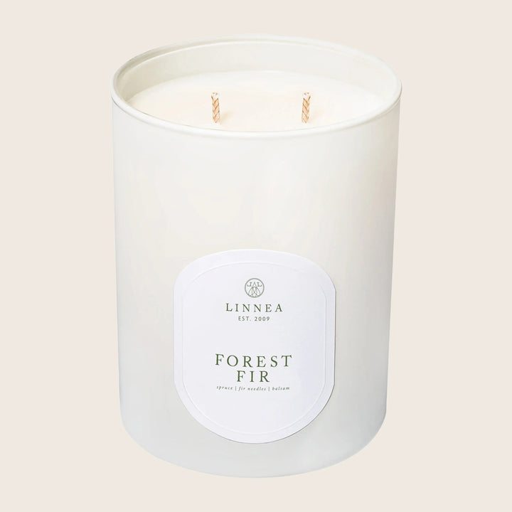 Forest Fir Candle