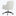 Cord Office Chair Zuma Linen White