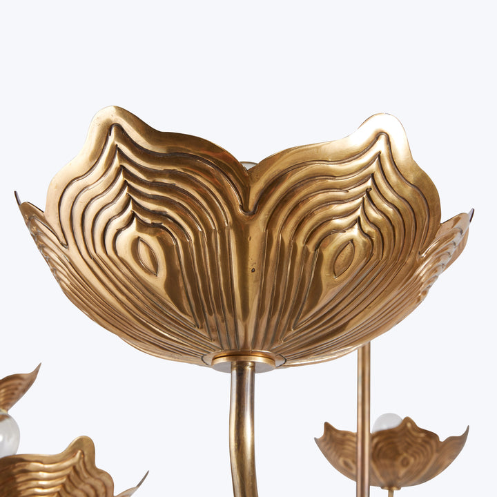 Encinitas Chandelier