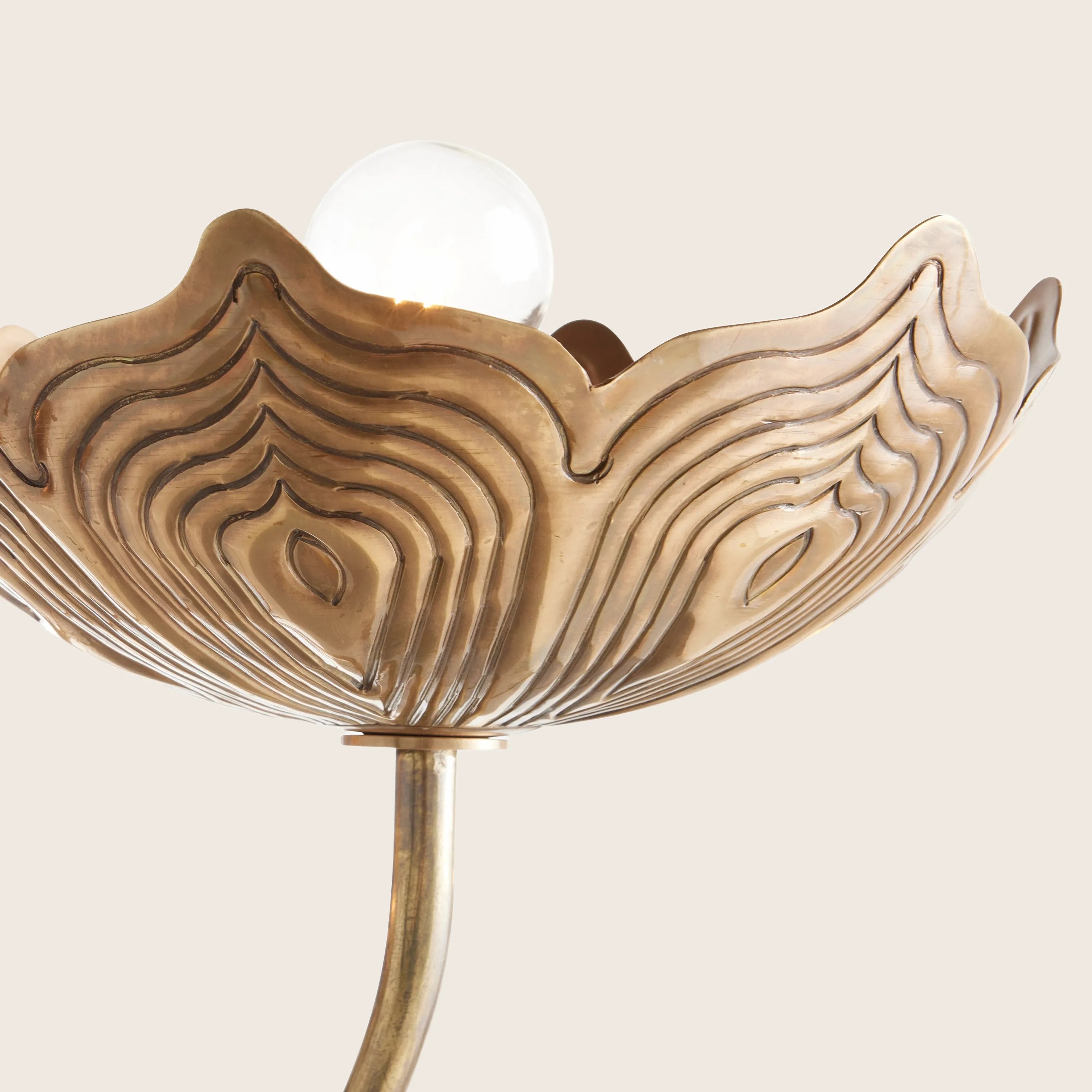 Arteriors Encinitas Chandelier