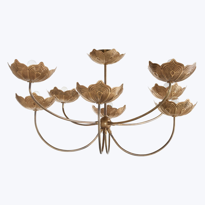 Encinitas Chandelier