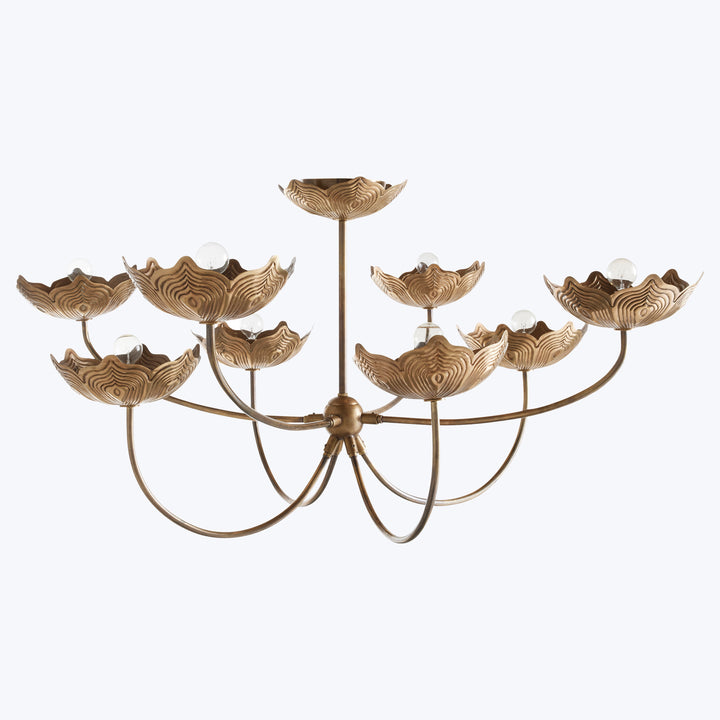 Encinitas Chandelier