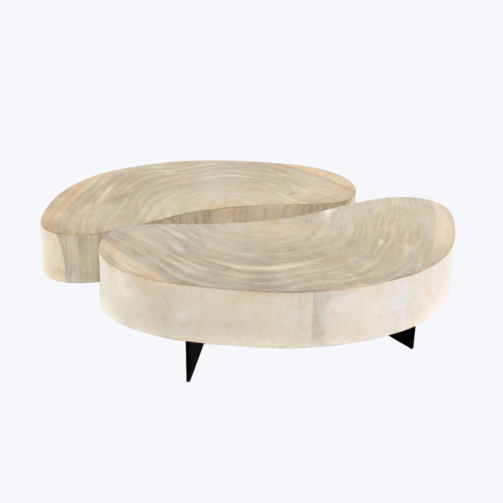 Avett Coffee Table 2-Piece / Bleached Guanacaste Oyster